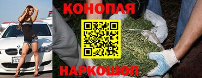 стафф Анапа