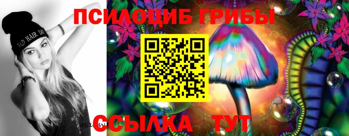 Егорьевск  Галлюциногенные грибы прущие грибы  Вход с VPN  Псилоцибиновые грибы ЛСД 