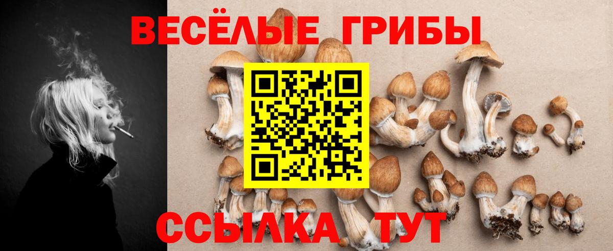 Псилоцибиновые грибы прущие грибы Егорьевск